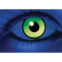 INNOVISON LENS Lentilles Gothiques 1 Jour UV Green