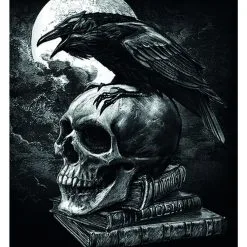 Carte Postale 3D ALCHEMY GOTHIC 'Poe's Raven'