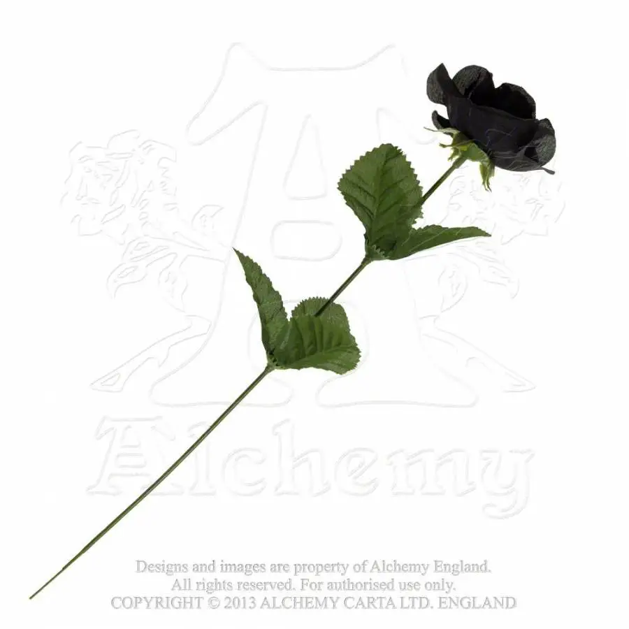 Rose ALCHEMY GOTHIC 'black Rose' â Image 2