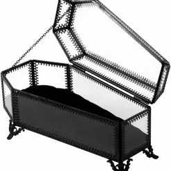 Cercueil En Verre KILLSTAR