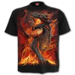 T-shirt Homme SPIRAL 'draconis'
