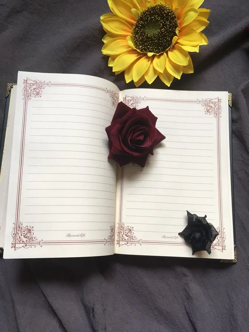 DISCOBOLE Journal Intime Gothique 'Mithe' â Image 5