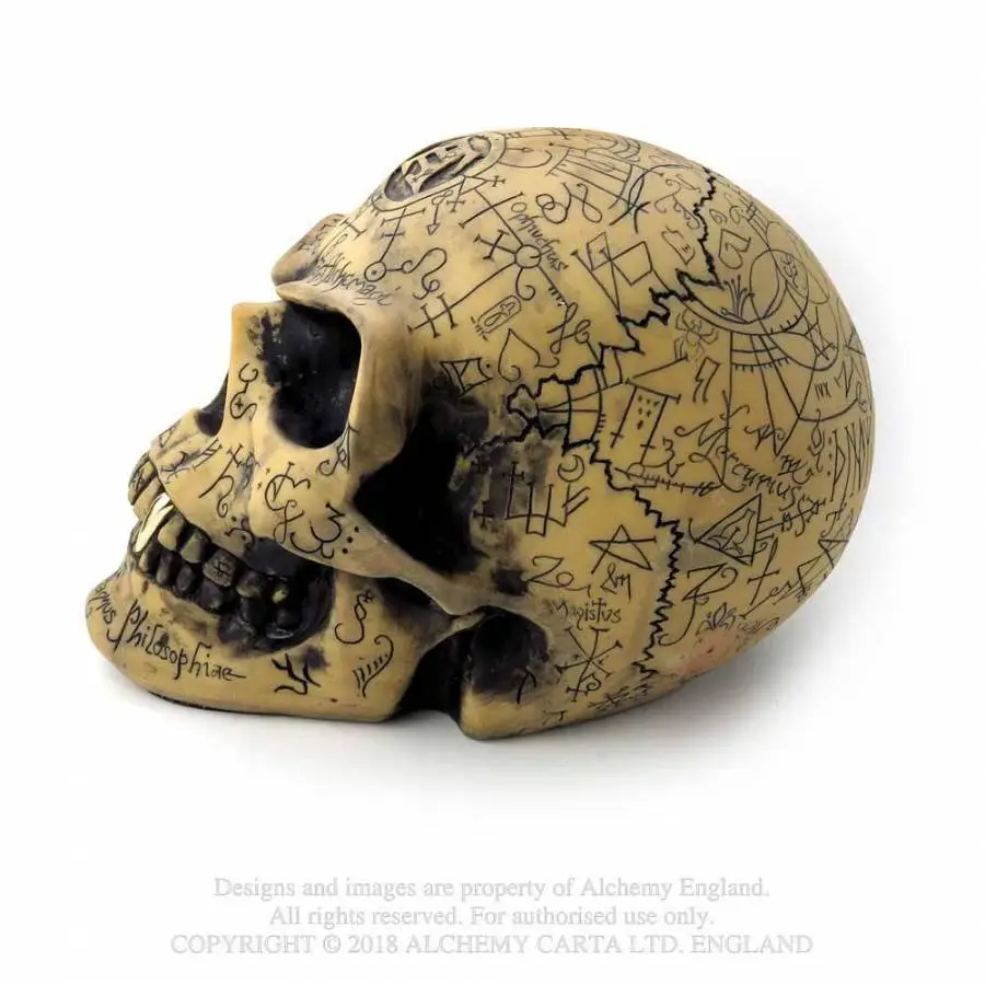Crâne ALCHEMY GOTHIC 'omega Skull' – Image 3