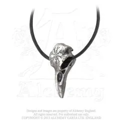 Pendentif ALCHEMY GOTHIC 'helm Of Awe Ravenskull'